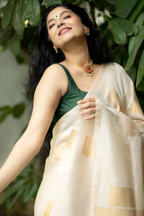 VastraLakshmi Imaginative Beige Soft Silk Saree With Devastating Blouse Piece