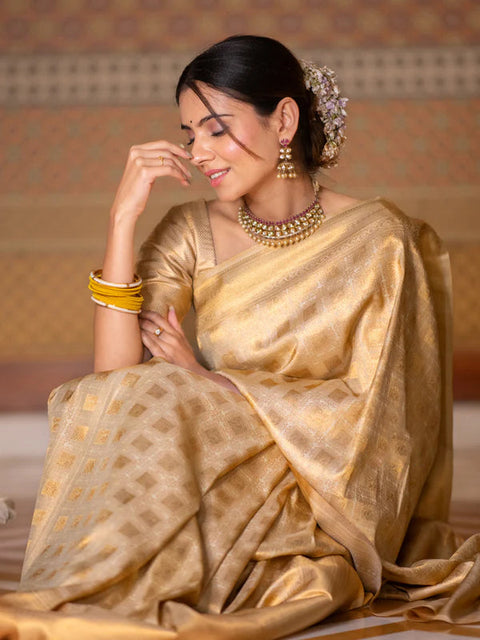 VastraLakshmi Ebullience Beige Soft Silk Saree With Ratatouille Blouse Piece