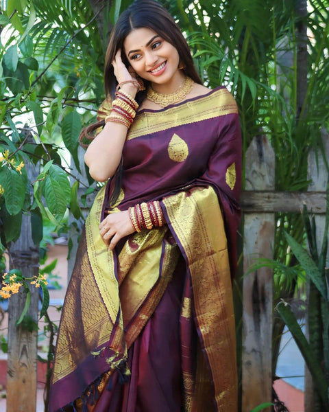 VastraLakshmi Amiable Wine Soft Silk Saree With Transcendent Blouse Piece