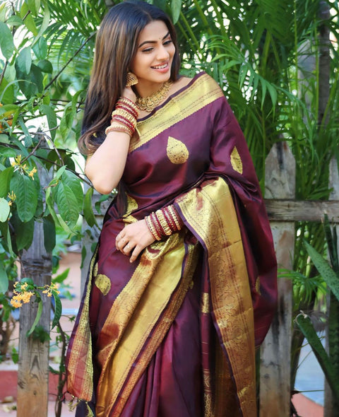 VastraLakshmi Amiable Wine Soft Silk Saree With Transcendent Blouse Piece