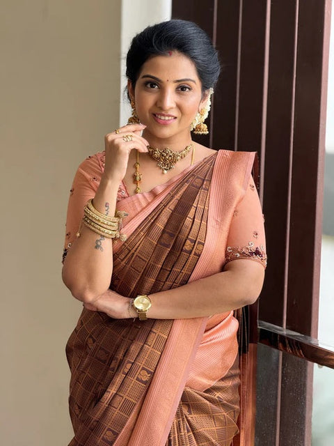 VastraLakshmi Effervescent Brown Soft Silk Saree With Seraglio Blouse Piece