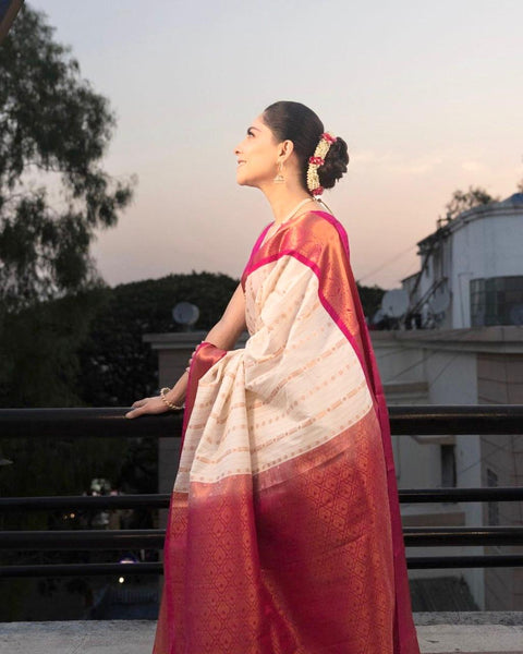 VastraLakshmi Panoply Beige Soft Silk Saree With Incredible Blouse Piece