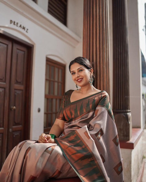 VastraLakshmi Fragrant Grey Soft Silk Saree With Snappy Blouse Piece