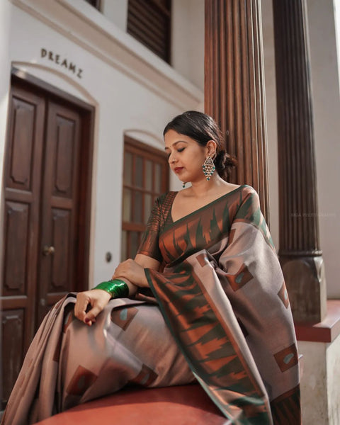 VastraLakshmi Fragrant Grey Soft Silk Saree With Snappy Blouse Piece