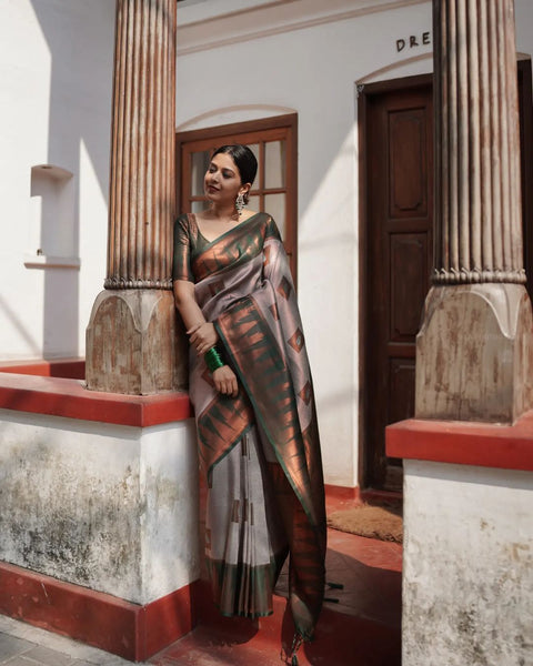 VastraLakshmi Fragrant Grey Soft Silk Saree With Snappy Blouse Piece