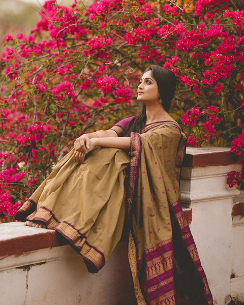 VastraLakshmi Gorgeous Dark Beige Soft Banarasi Silk Saree With Sensational Blouse Piece