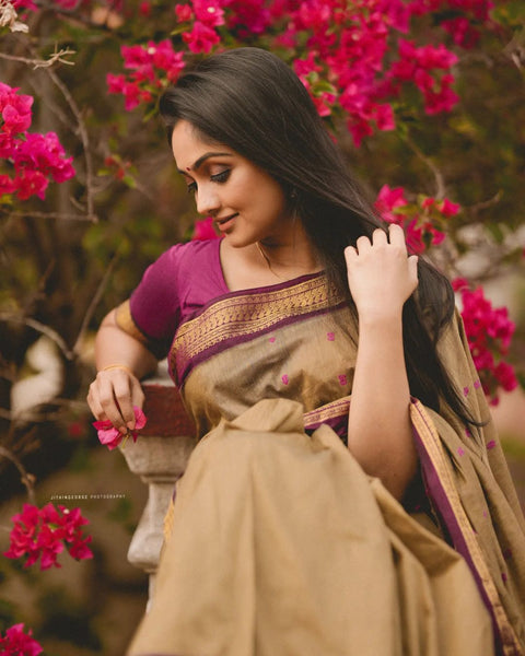 VastraLakshmi Gorgeous Dark Beige Soft Banarasi Silk Saree With Sensational Blouse Piece