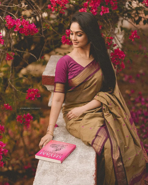 VastraLakshmi Gorgeous Dark Beige Soft Banarasi Silk Saree With Sensational Blouse Piece