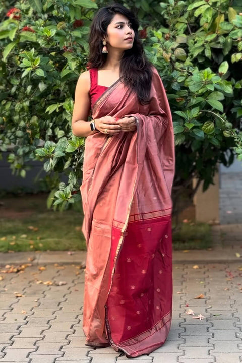 VastraLakshmi Comely Pink Cotton Silk Saree With Fancifull Blouse Piece