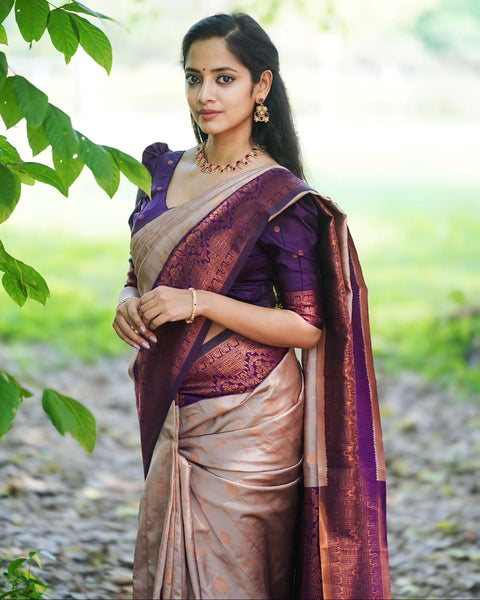 VastraLakshmi Splendorous Grey Soft Silk Saree With Felicitous Blouse Piece