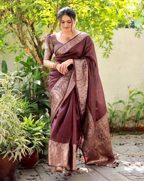 VastraLakshmi Adorning Brown Soft Silk Saree With Fancifull Blouse Piece