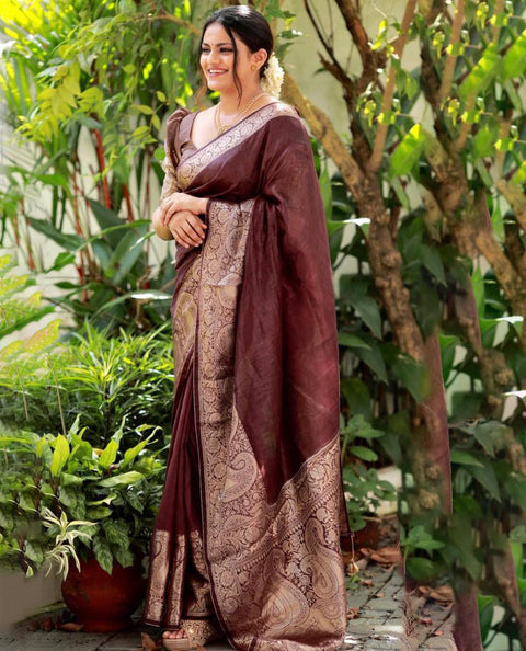 VastraLakshmi Adorning Brown Soft Silk Saree With Fancifull Blouse Piece